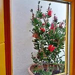 Kostoulis Traditional House